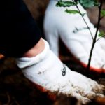 Kolejny młody las zasadzony – jak fryzjerzy Davines dbają o planetę
