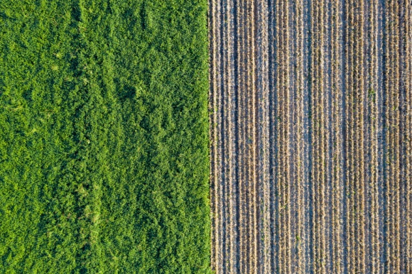 Zmiany na rynku biomasy BIZNES, Ochrona środowiska - Według najnowszych danych opublikowanych przez Europejską Radę Pelletu, w 2019 roku popyt na pellet wzrósł w Europie o 7% (1,8 mln ton) w porównaniu do 2018 roku